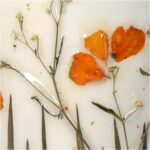 Κασπώ Αποξηραμένα Λουλούδια Ιβουάρ Μέταλλο 11x11x10cm