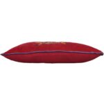 Μαξιλάρι Σκαραβαίος Πολύχρωμο Βελούδο 40x60cm