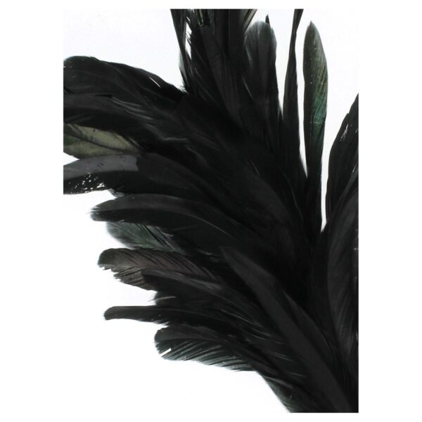 Φτερό Μαύρο 75cm