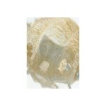 Διακοσμητικό Καβούρι Χρυσό Γυαλί 18x13.5x5cm