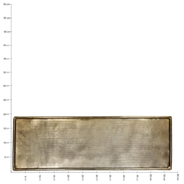 Δίσκος Χρυσό Αλουμίνιο 58x20x0.5cm