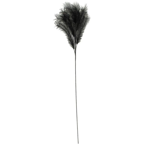 Κλαδί Μαύρο Φτερό 100cm