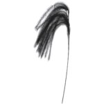 Κλαδί Μαύρο Φτερό 140cm