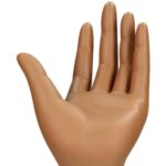 Διακοσμητικό Χέρι Φυσικό Polyresin 11.7x12.1x37.8cm