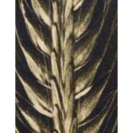 Μαξιλάρι Wheat Καφέ Βελούδο 45x45cm