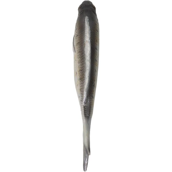 Διακοσμητικό Ψάρι Γκρι Polyresin 27.5x3.1x8.1cm