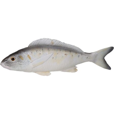 Διακοσμητικό Ψάρι Γκρι Polyresin 27.5x3.1x8.1cm