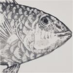 Δίσκος Ψάρι Γκρι Κεραμικό 40.5x39.5x3cm