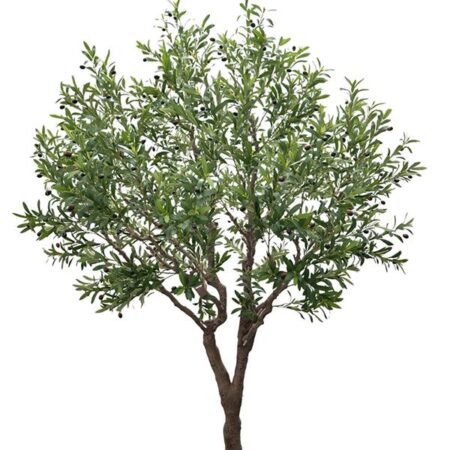 OLIVE TREE NP496_240_UV ΥΨΟΣ 240cm