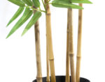 BAMBOO  NP5801_150_22_UV   ΥΨΟΣ 150cm