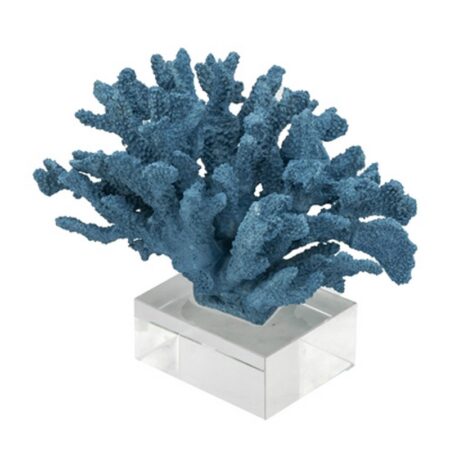 Διακοσμητικό μπλε κοράλι σε γυάλινη βάση  24.1 X 21.6 X 20cm