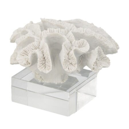 Ute Διακοσμητικό Άσπρο Κοράλι σε Γυάλινη Βάση  (23x2216)cm