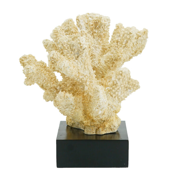 Artekko Coral Διακοσμητικό Κοράλλι σε Βάση Ρητίνη/Ξύλο Μπεζ (28x18x22)cm