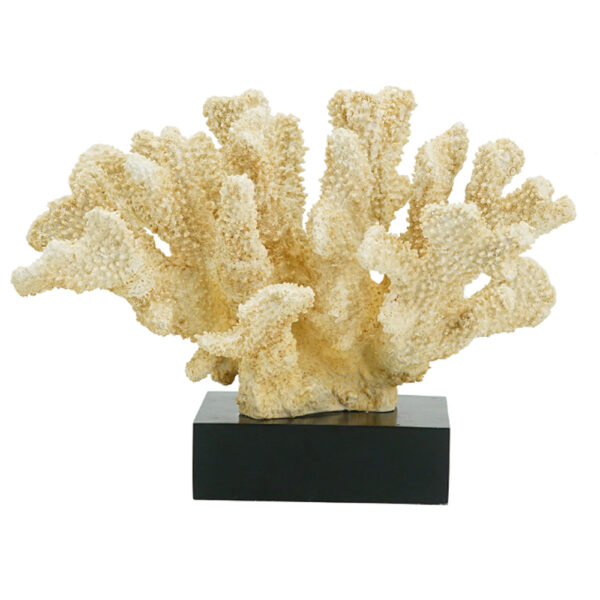 Artekko Coral Διακοσμητικό Κοράλλι σε Βάση Ρητίνη/Ξύλο Μπεζ (28x18x22)cm
