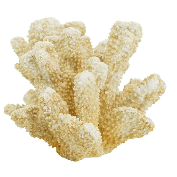 Artekko Coral Διακοσμητικό Κοράλλι Ρητίνη Μπεζ (22x17x14)cm