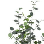 Διακοσμητικό φυτό Eucalyptus σε γλάστρα Inart πράσινο pp Υ120εκ