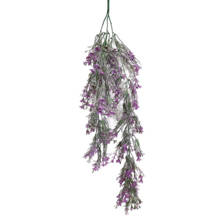 ΡΙΖΑ ΚΡΕΜΑΣΤΗ ΦΟΥΞ ΛΕΒΑΝΤΑ ΠΡΑΣΙΝΑΔΑ - Υ80cm 3/48ΚΙΒ