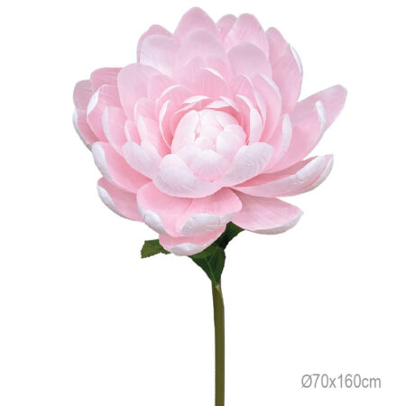 ΚΛΑΔΙ ΝΟΥΦΑΡΟ ΡΟΖ ΓΙΓΑΣ - Φ70x160cm 6/ΚΙΒ