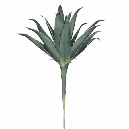 FOAM ΦΥΛΛΟ ΚΑΚΤΟΣ ΠΡΑΣΙΝΟ Y75cm 6/48ΚΙΒ