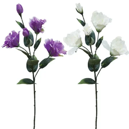 ΚΛΑΔΙ ΥΒΙΣΚΟΣ ΑSS (ΕΚΡΟΥ, ΜΩΒ) Y65cm. 24/120KIB