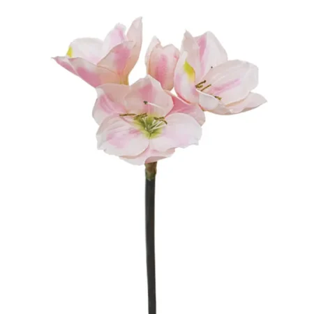 ΚΛΑΔΙ ΡΟΖ ΑΜΑΡΥΛΛΙΣ Y59cm. 24/120KIB