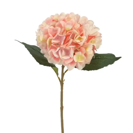 ΚΛΑΔΙ ΟΡΤΑΝΣΙΑΣ ΡΟΖ - Φ15x45cm 24/240KIB