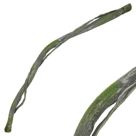 ΚΛΑΡΑ ΚΑΦΕ/ΠΡΑΣΙΝΟ ΜΕ ΒΡΥΑ & ΕΞΤΡΑ ΦΛΟΙΟ ΕΥΚΑΜΠΤΗ - Υ180cm 24/96KIB