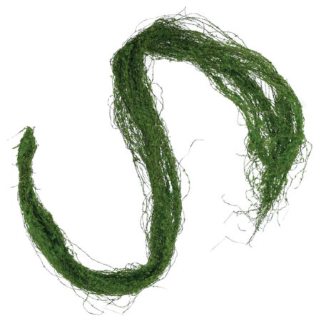 ΚΡΕΜΑΣΤΗ ΡΙΖΑ ΒΡΥΑ ΣΚΟΥΡΟ ΠΡΑΣΙΝΟ  - Υ122cm 24/96KIB