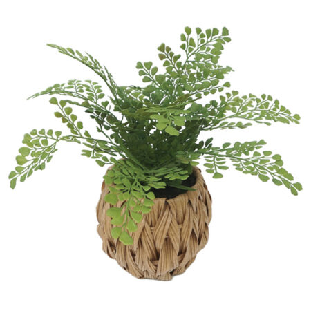 ΦΤΕΡΗ ΣΕ ΠΛΕΚΤΟ ΠΛΑΣΤΙΚΟ ΚΑΛΑΘΙ  ΚΑΦΕ-ΠΡΑΣΙΝΟ - Φ32x30cm 6/48ΚΙΒ