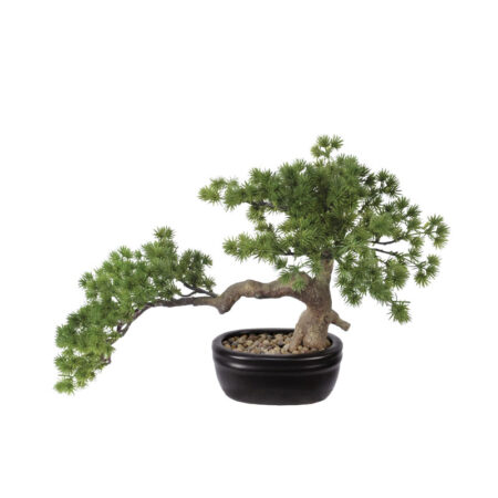 ΔΕΝΤΡΟ ΜΠΟΝΣΑΪ ΣΕ ΠΛΑΣΤΙΚΗ ΓΛΑΣΤΡΑ ΠΡΑΣΙΝΟ - 45x25x27cm 4/ΚΙΒ