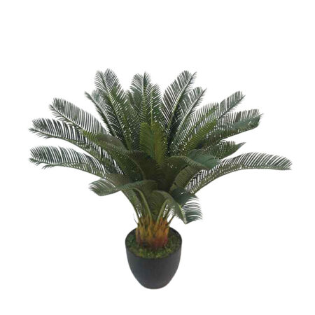 ΔΕΝΤΡΟ ΚΥΚΑΣ ΣΕ ΓΛΑΣΤΡΑ - Y72cm 4/ΚΙΒ