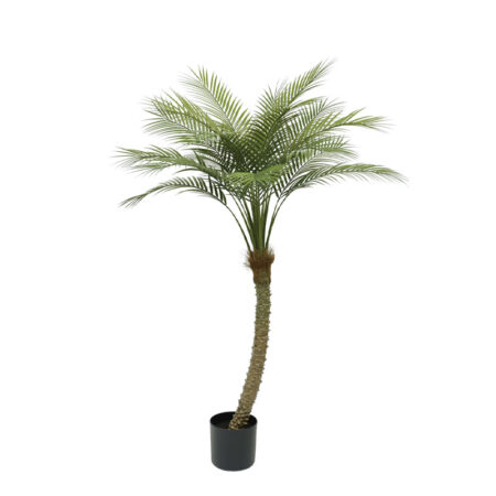 ΔΕΝΤΡΟ ΦΟΙΝΙΚΑΣ REAL TOUCH ΣΕ ΓΛΑΣΤΡΑ - 155cm 4/ΚΙΒ