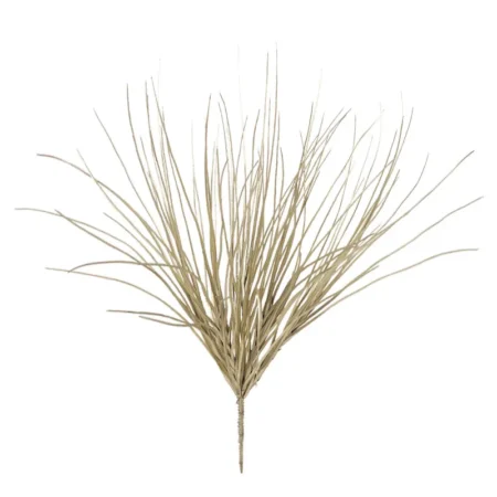 ΡΙΖΑ ΧΡΥΣΟ ΓΚΡΑΣΣ ΚΡΕΜΜΥΔΙΟΥ - Φ30x50cm 12/96ΚΙΒ